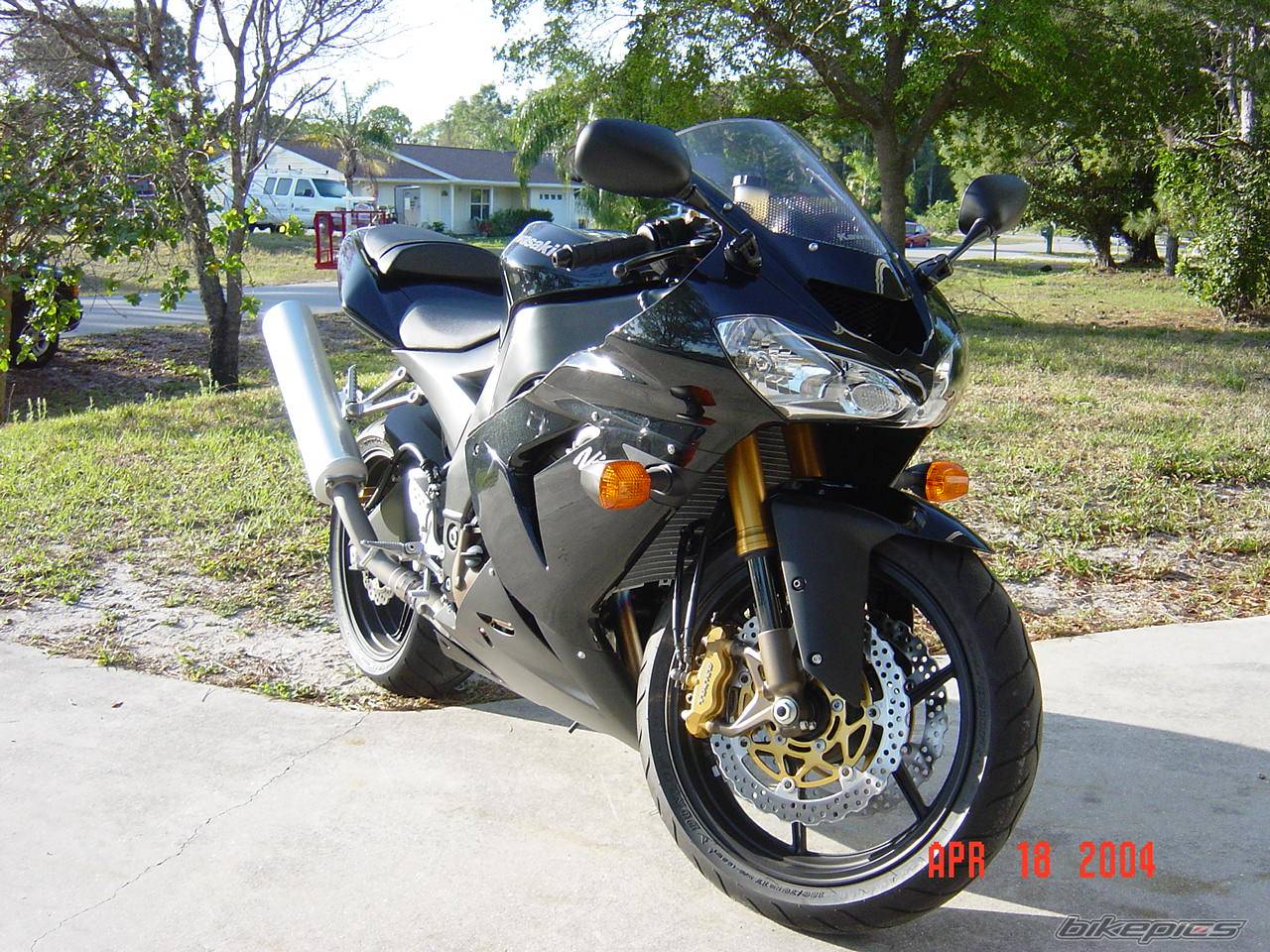 Photo 137447