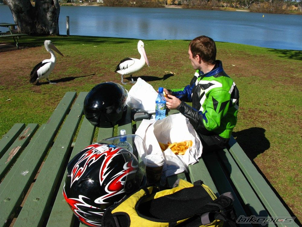 Bike Photo 1374481