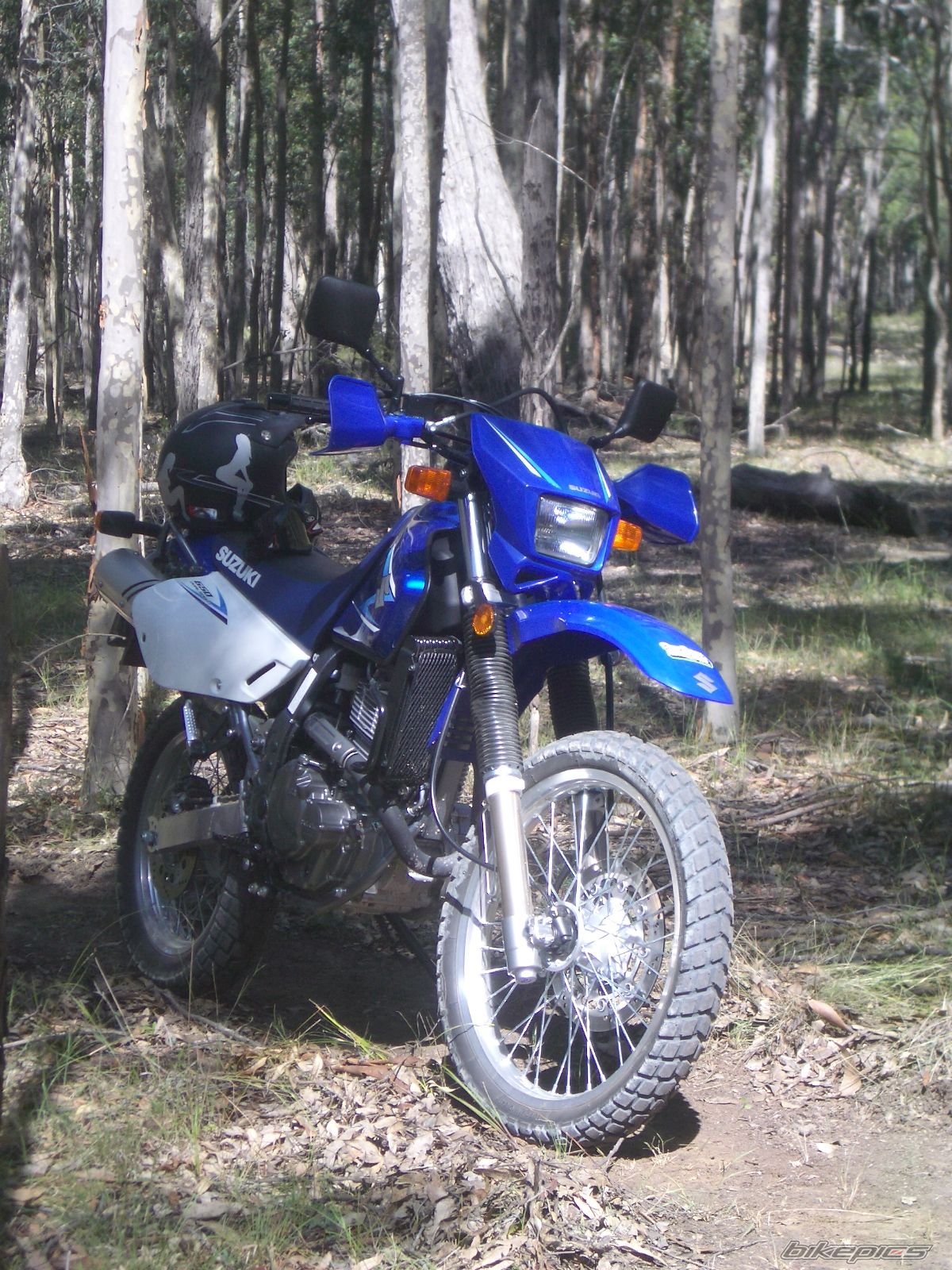 Photo 1374521