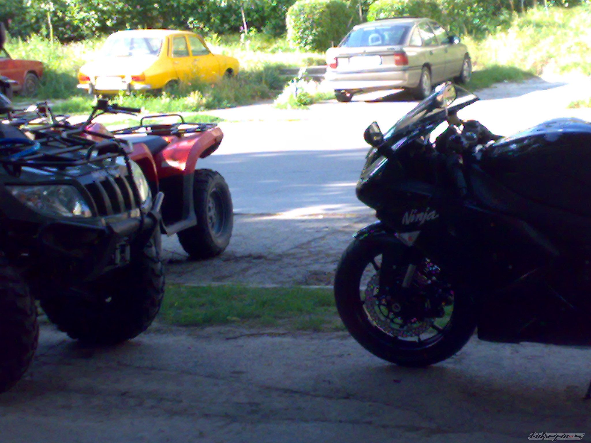 Photo 1374599