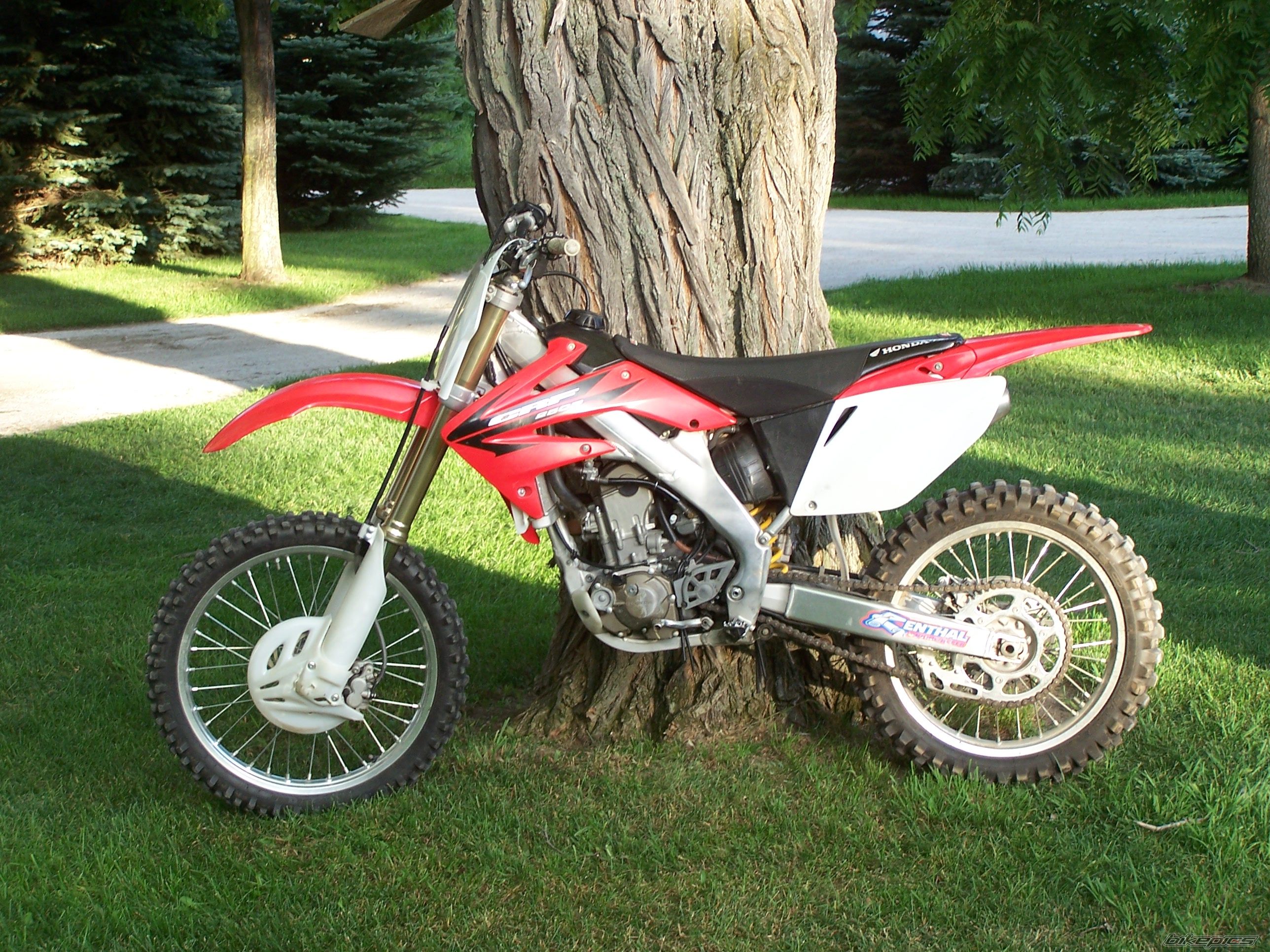 Photo 1374720