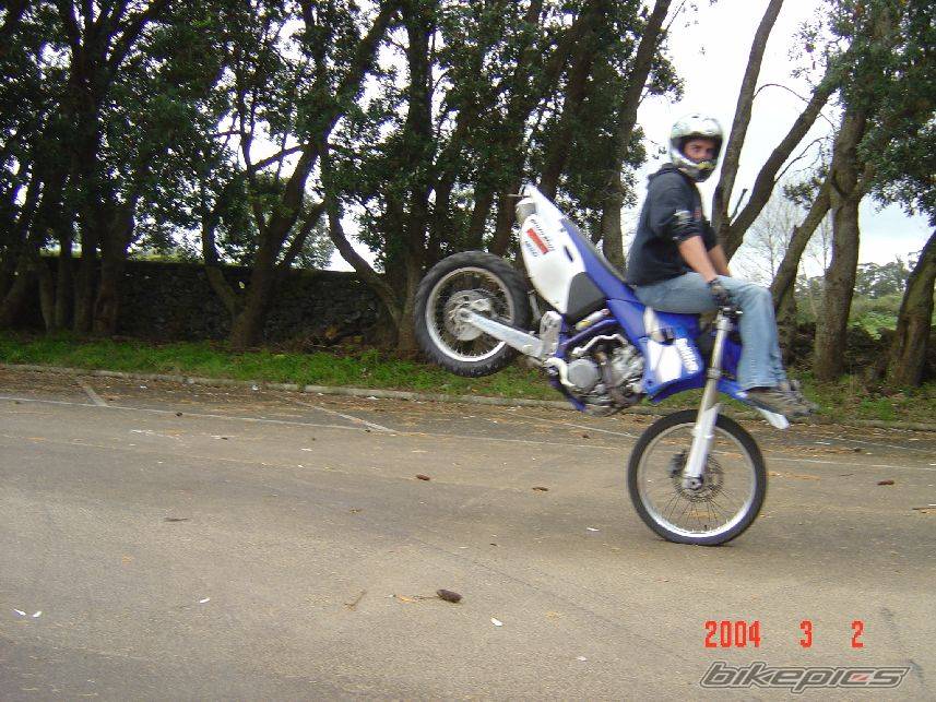 Bike Photo 137473