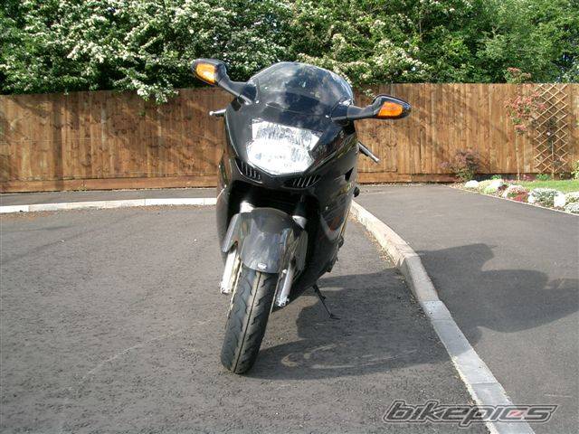 Photo 137474