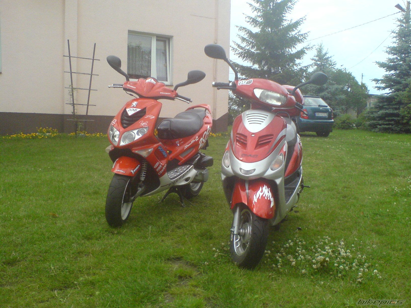Photo 1374767