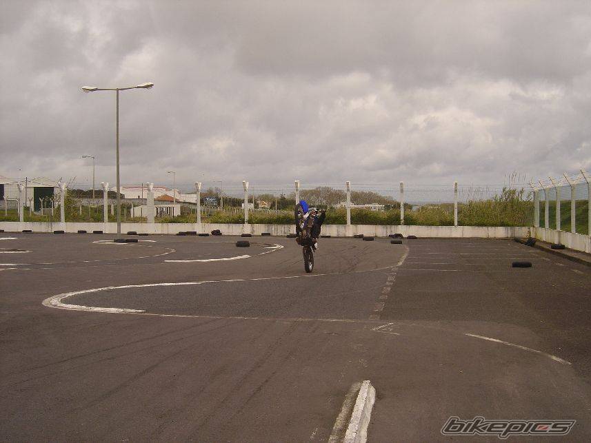 Photo 137477
