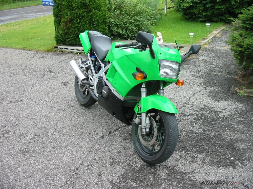 Photo 1374788