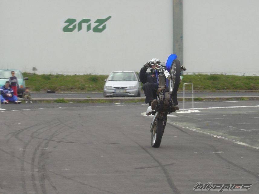Photo 137479