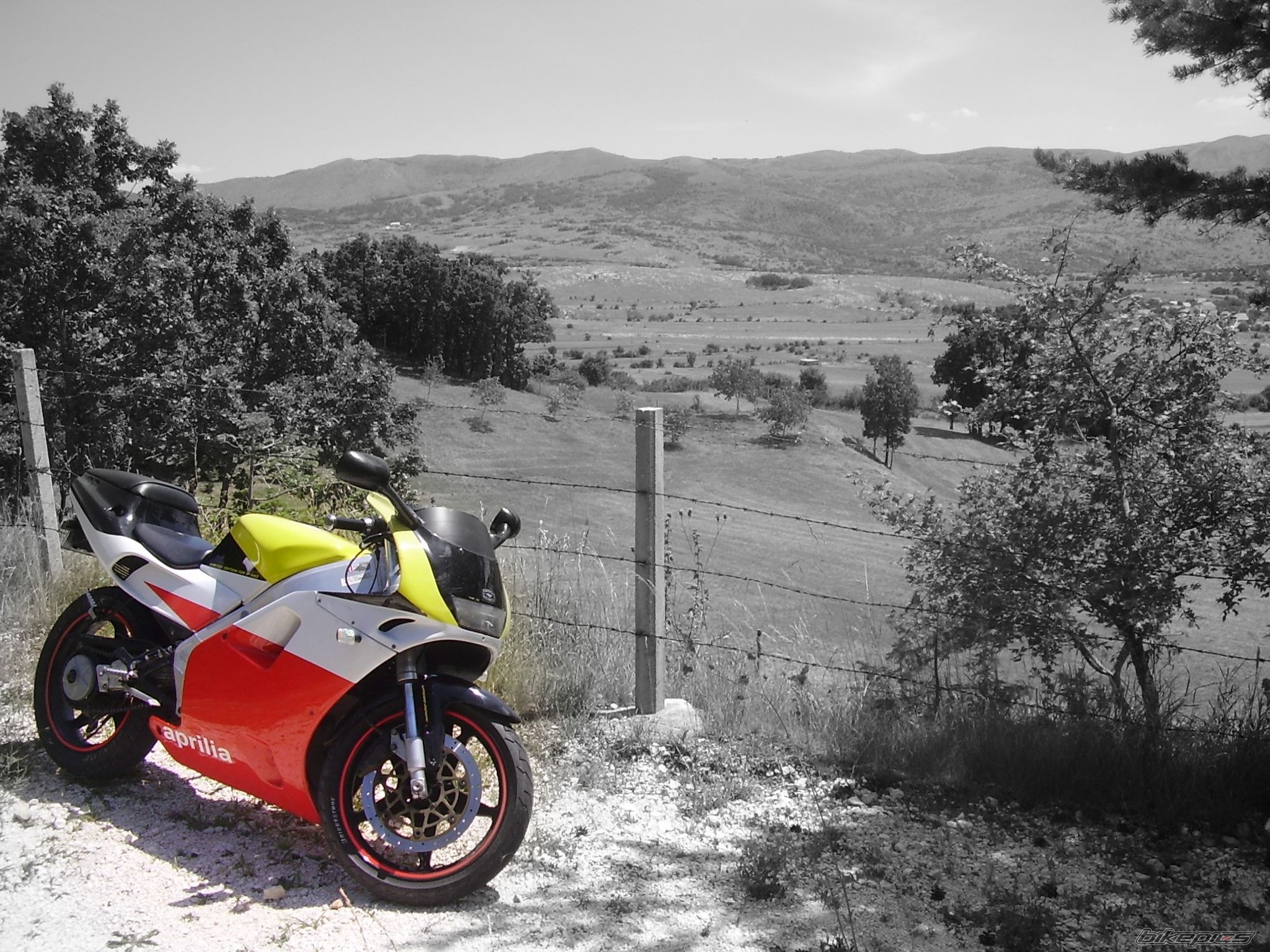 Photo 1374844