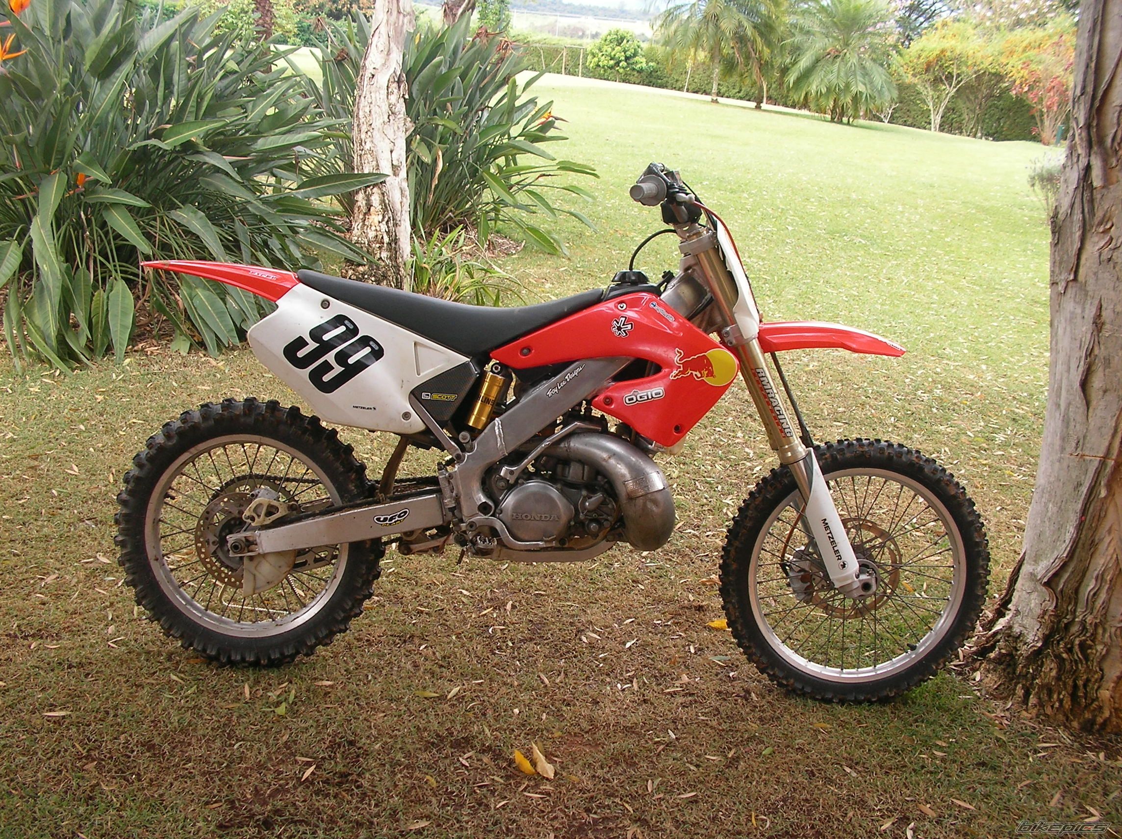Photo 1374870