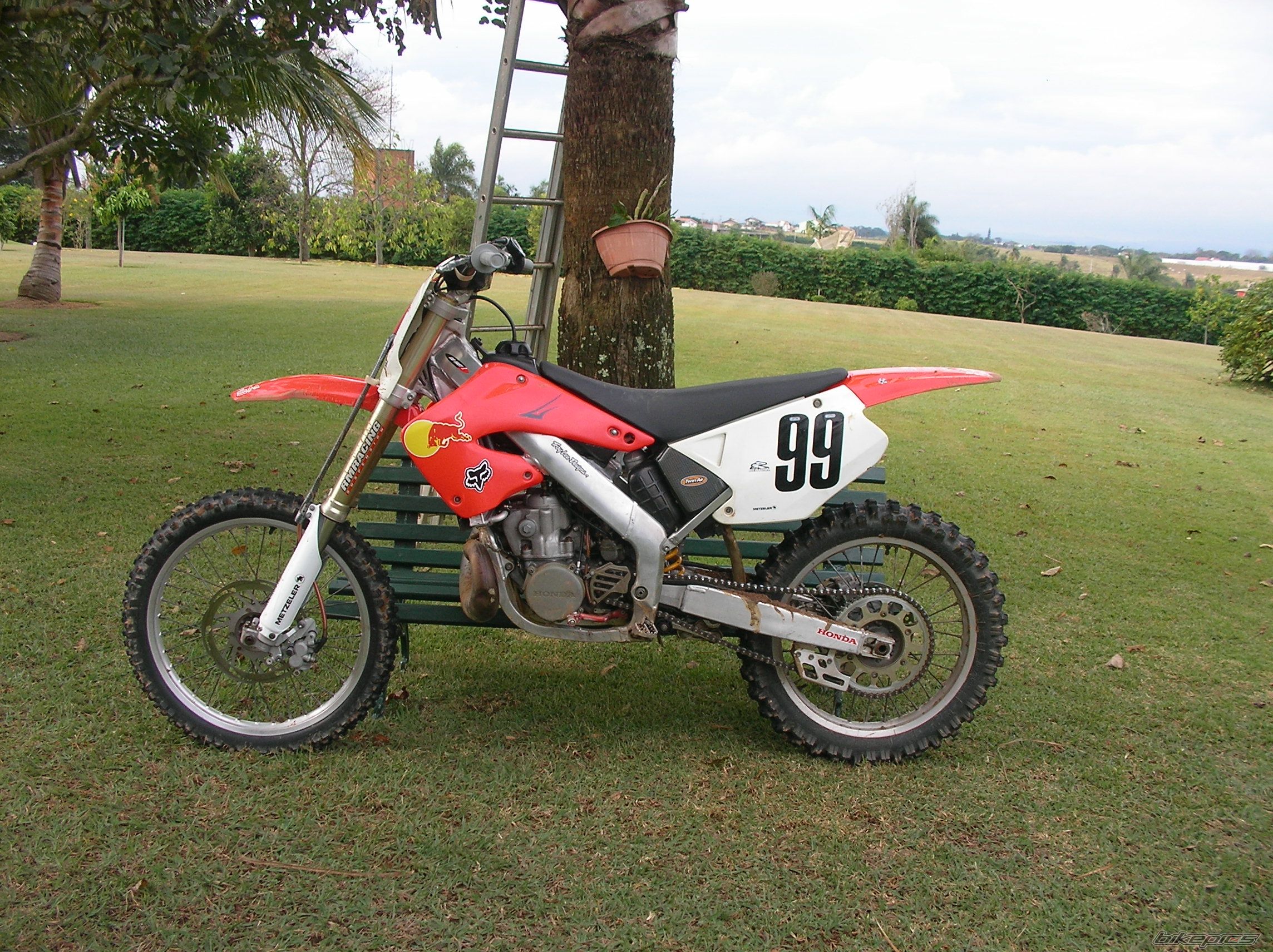 Photo 1374874