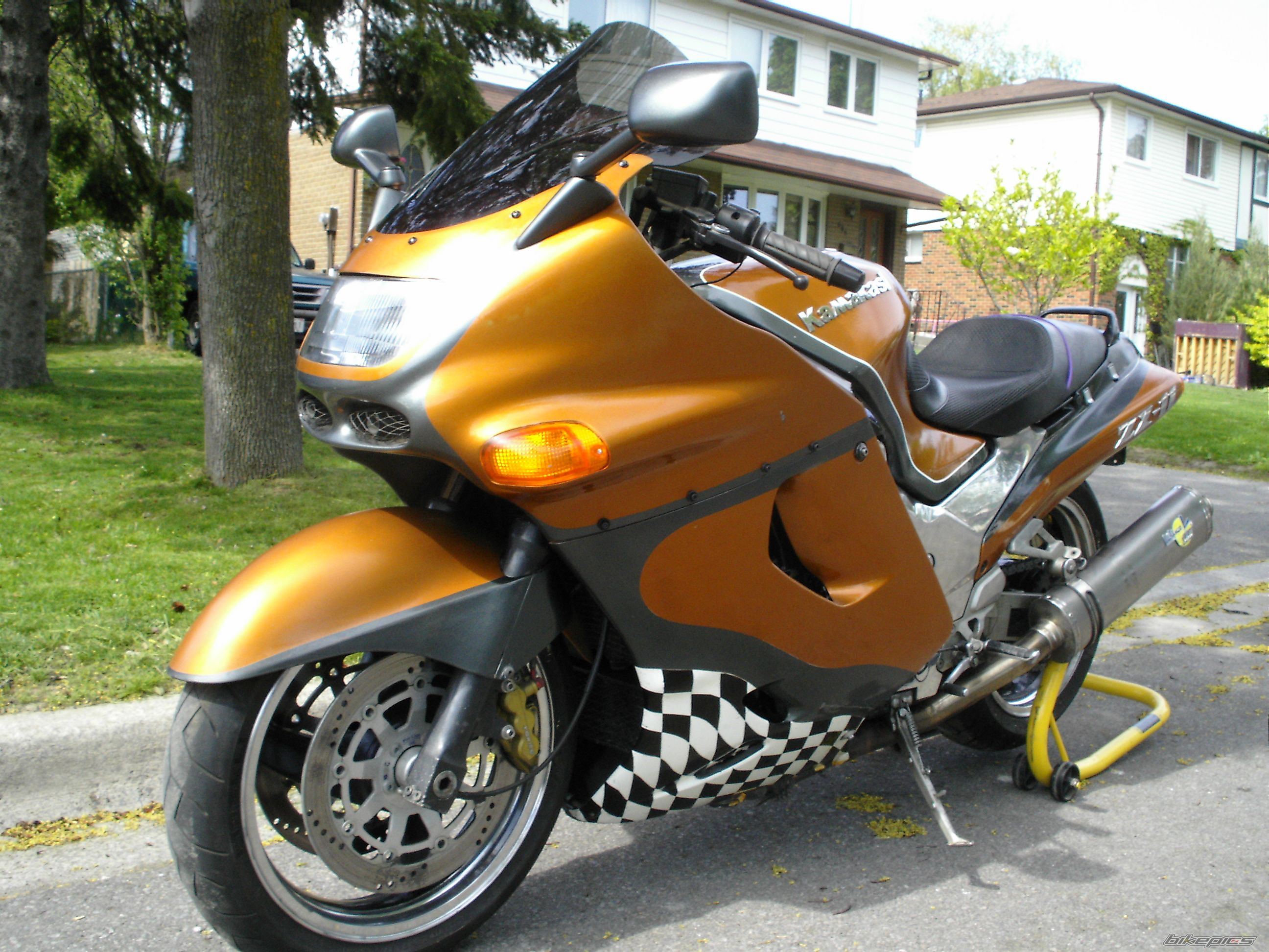 Photo 1374928