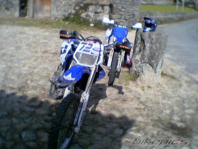 Photo 137508