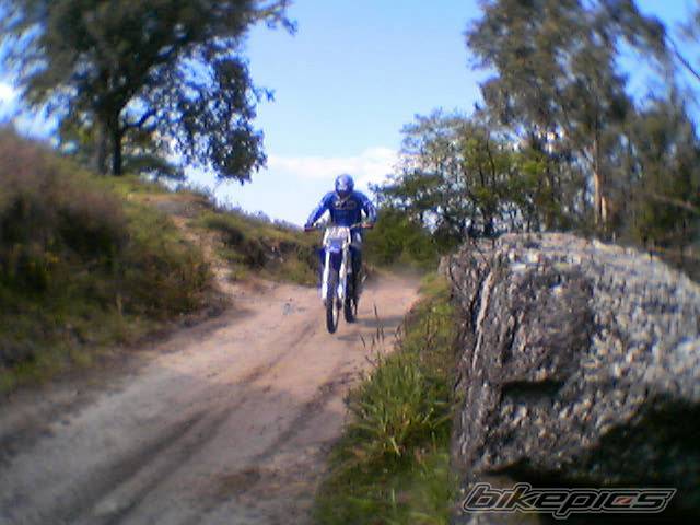 Photo 137509