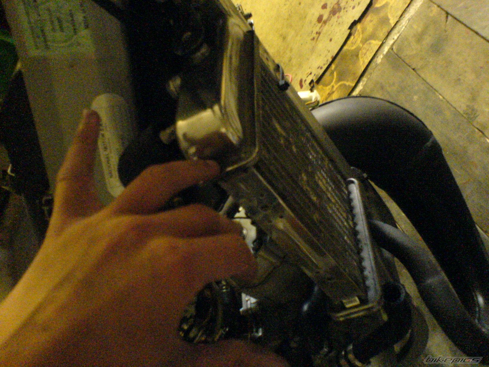 Photo 1375095