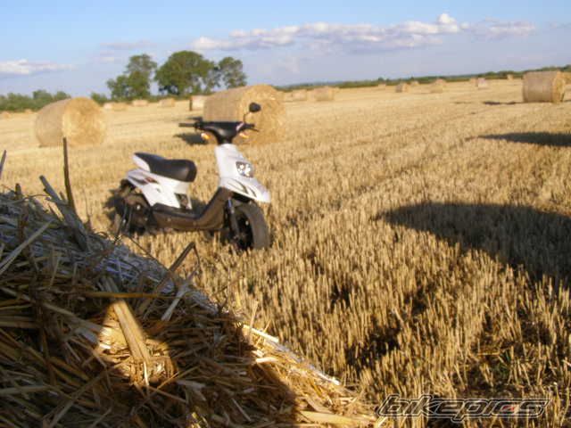 Photo 1375127