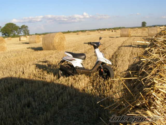 Photo 1375128