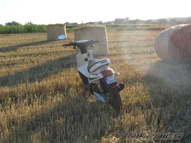 Photo 1375129