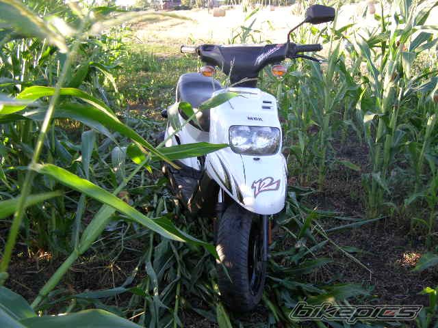 Photo 1375130
