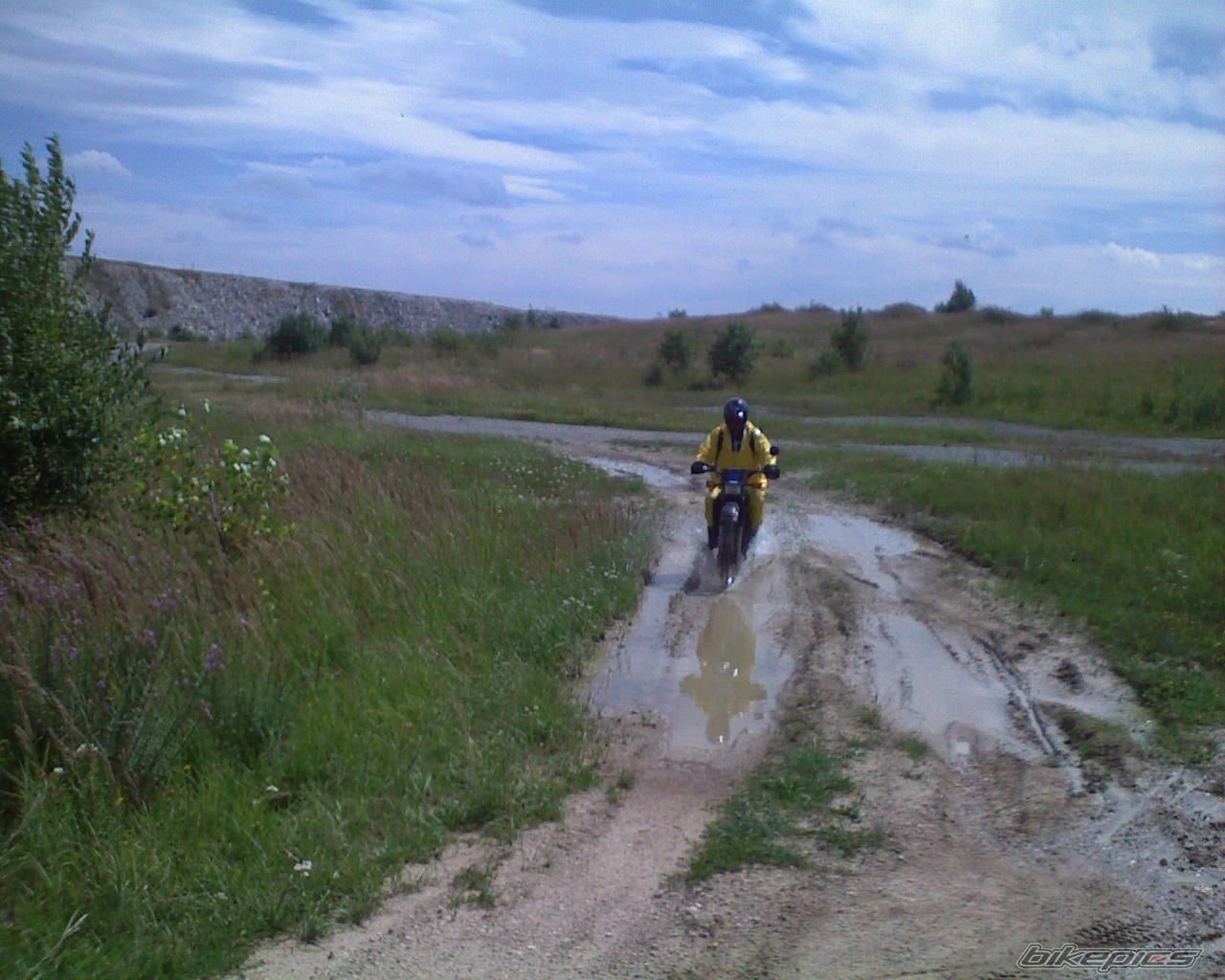 Photo 1375159