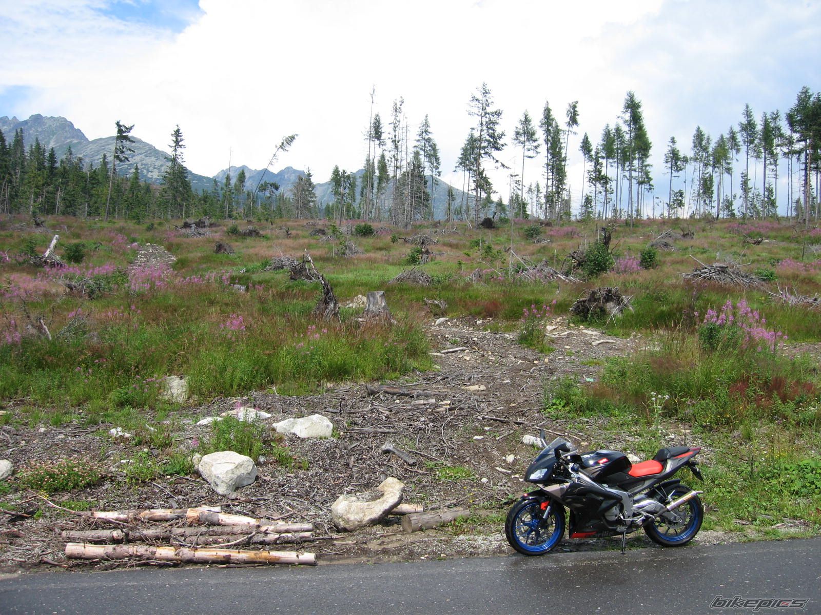 Bike Photo 1375180