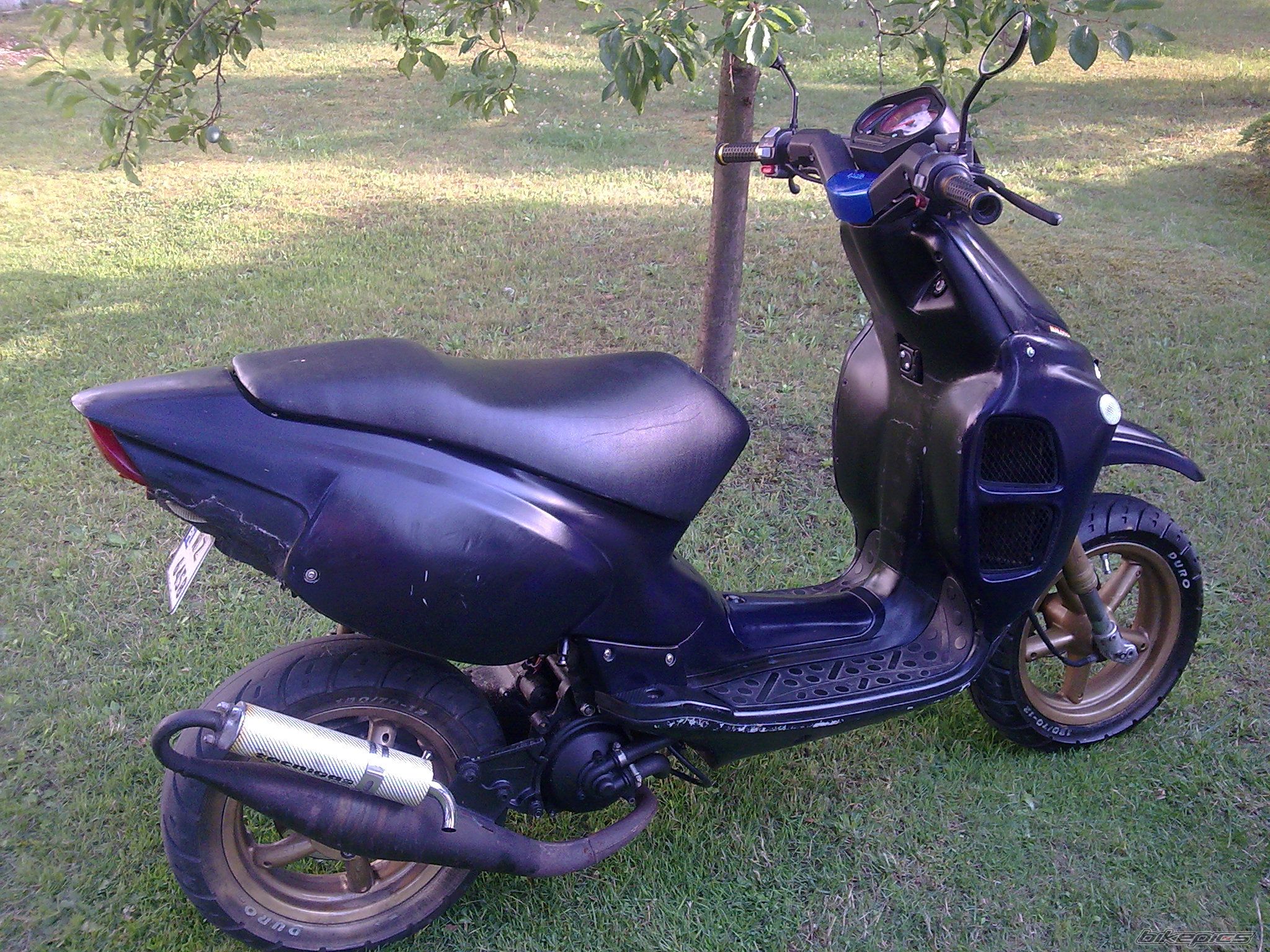 Photo 1375218