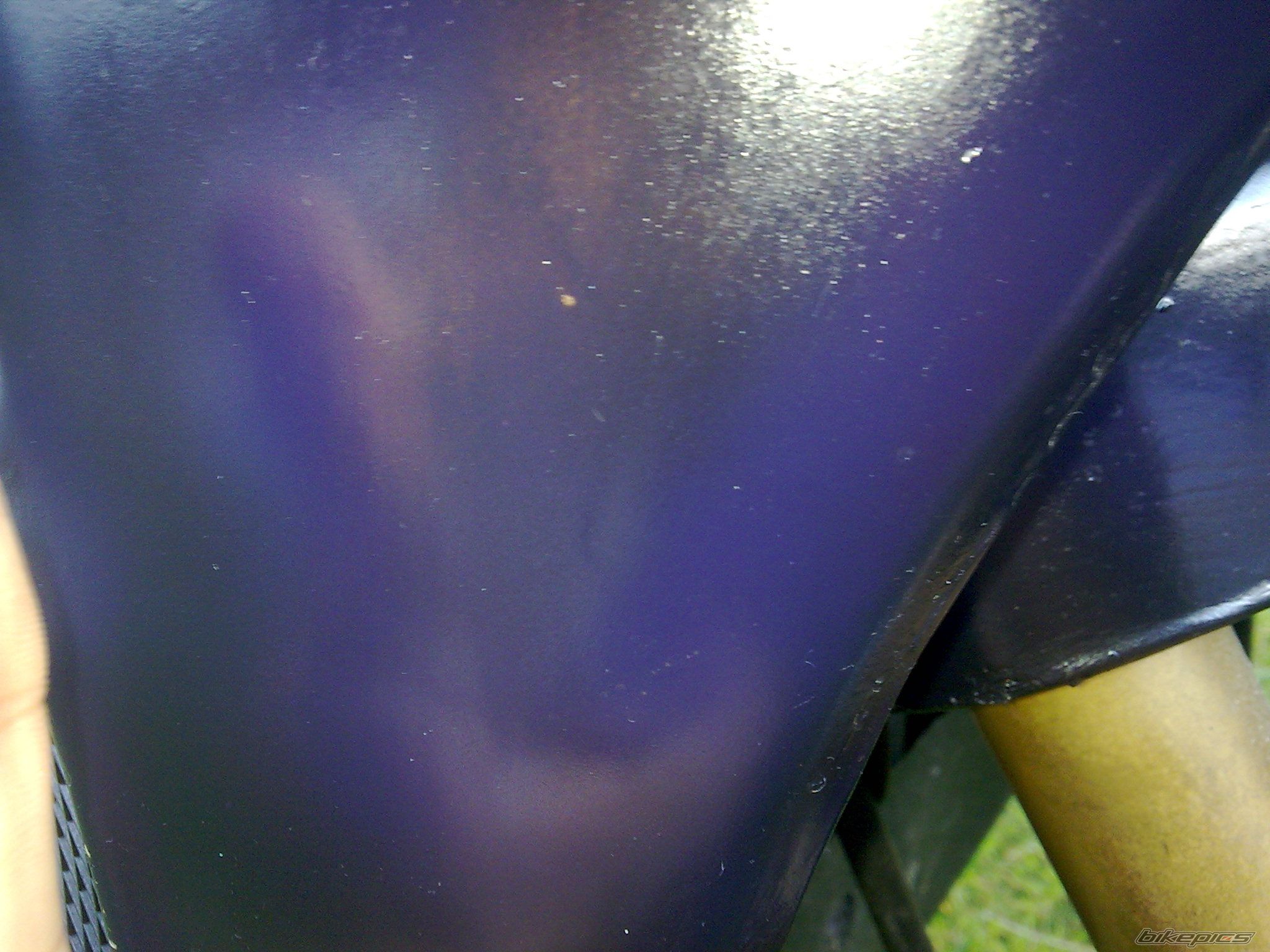 Photo 1375224