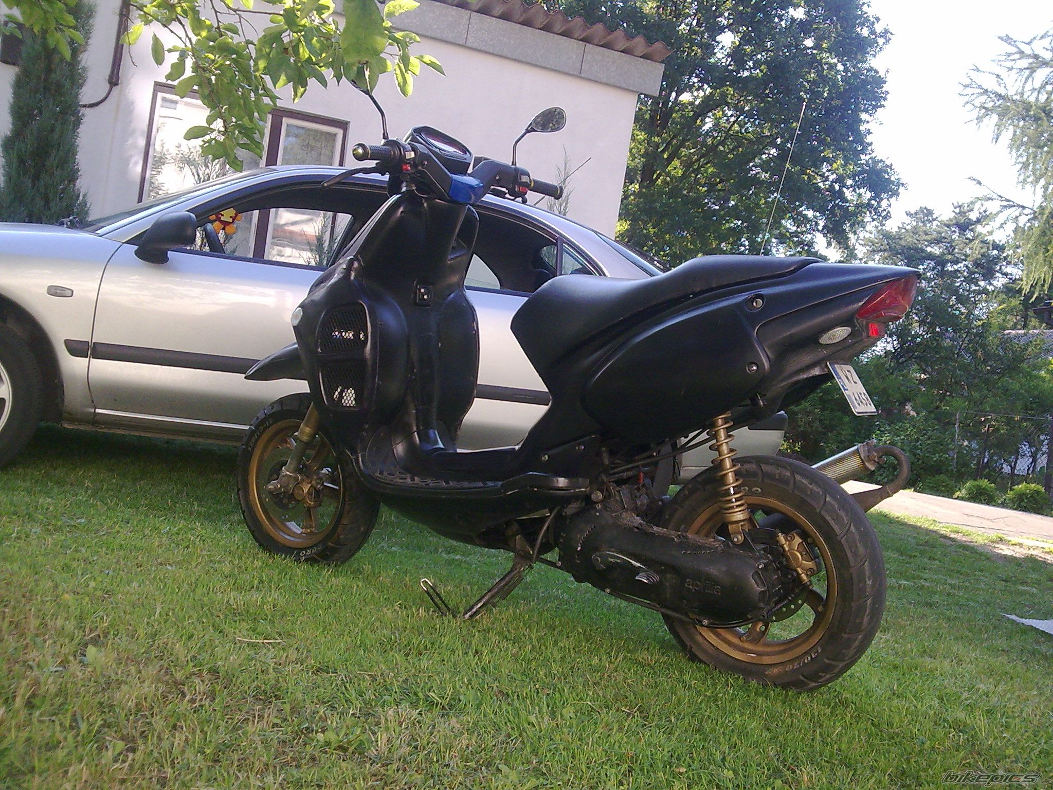 Photo 1375227