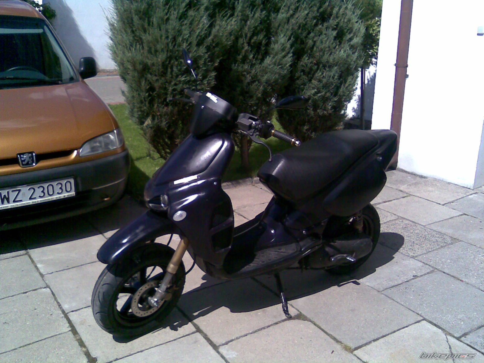 Photo 1375229