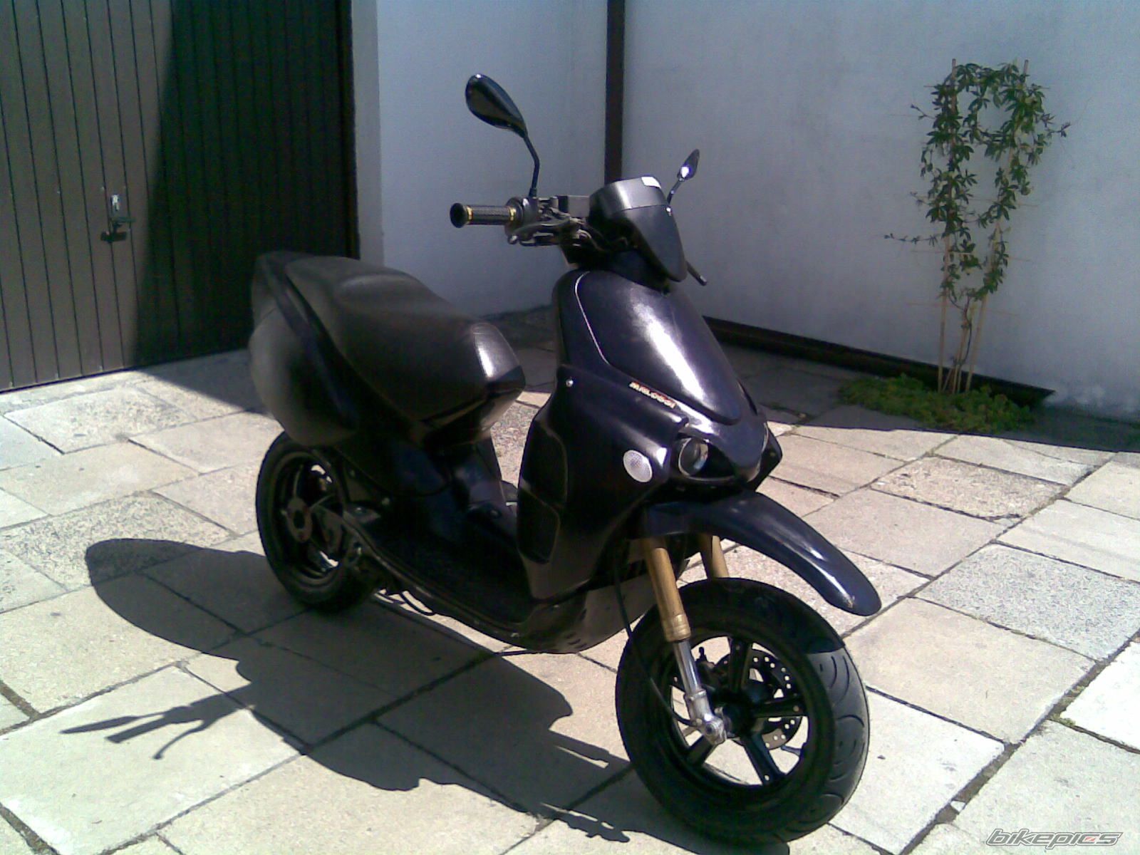 Photo 1375230