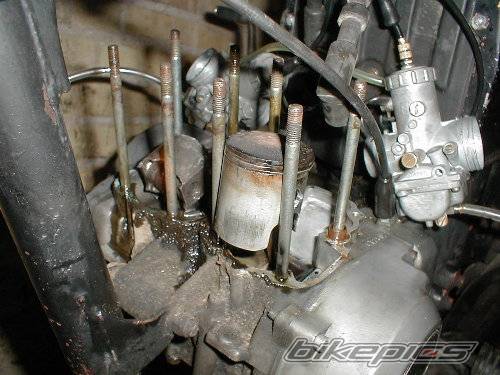 Photo 137528