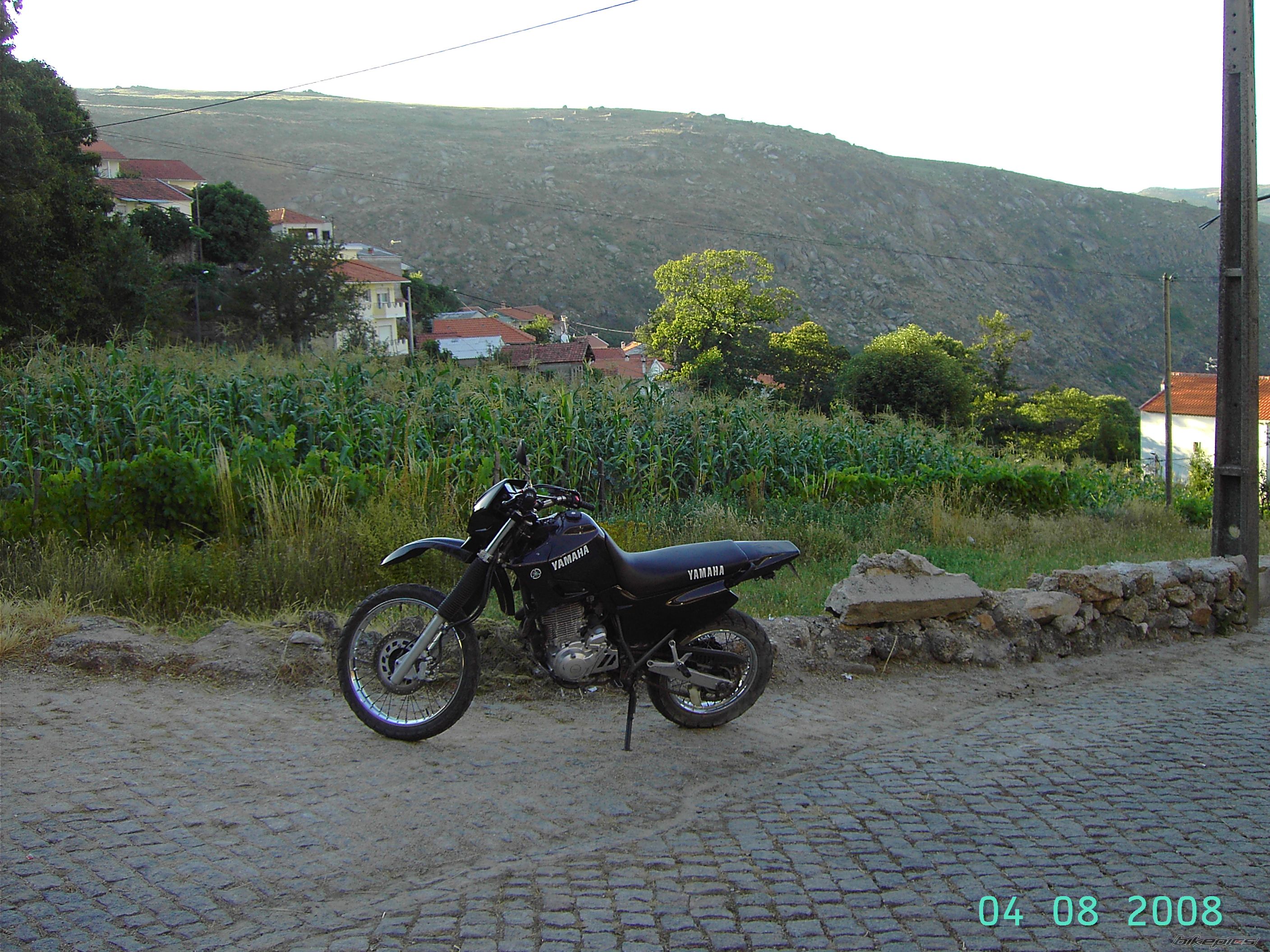 Photo 1375293
