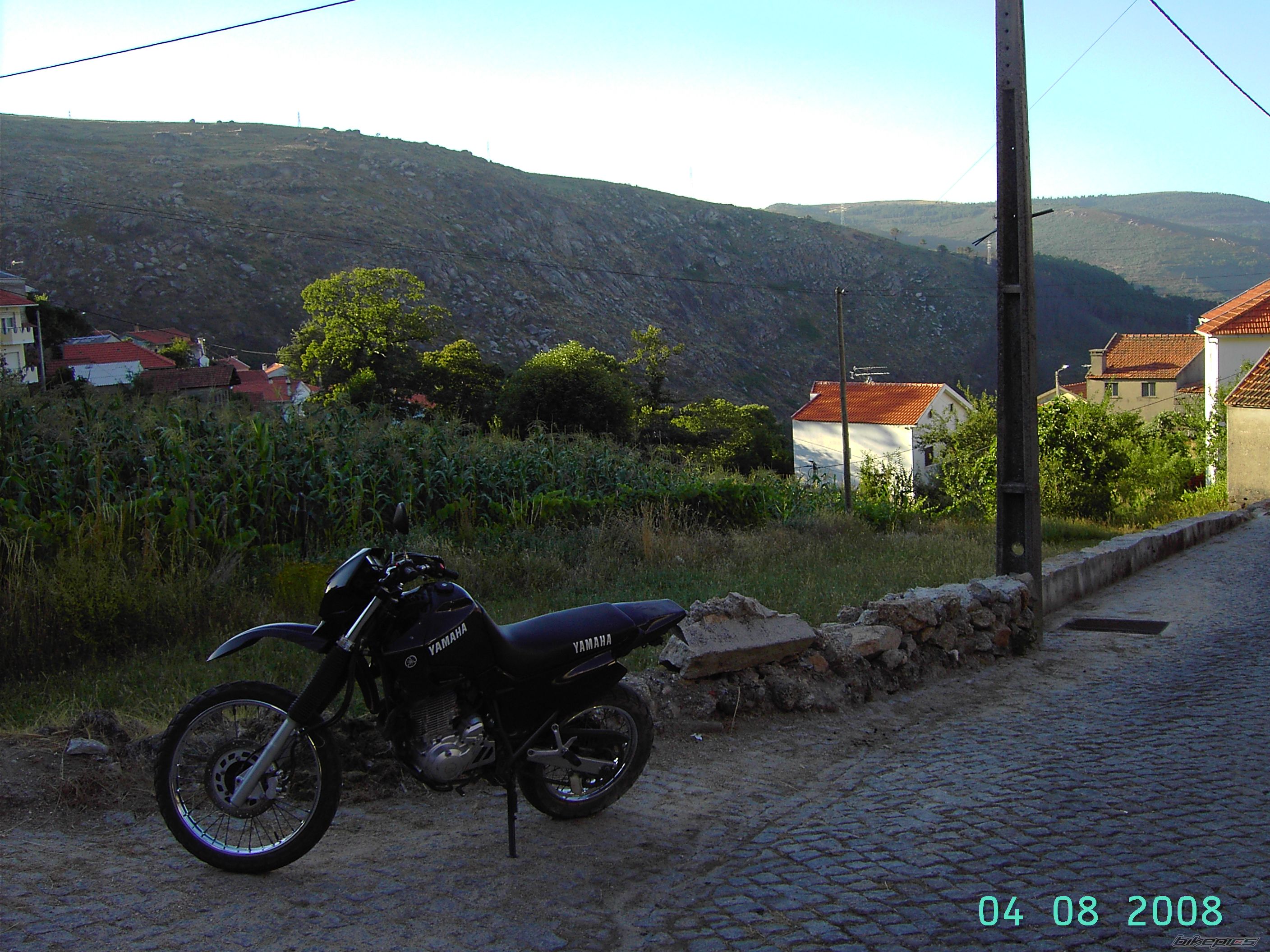 Photo 1375297