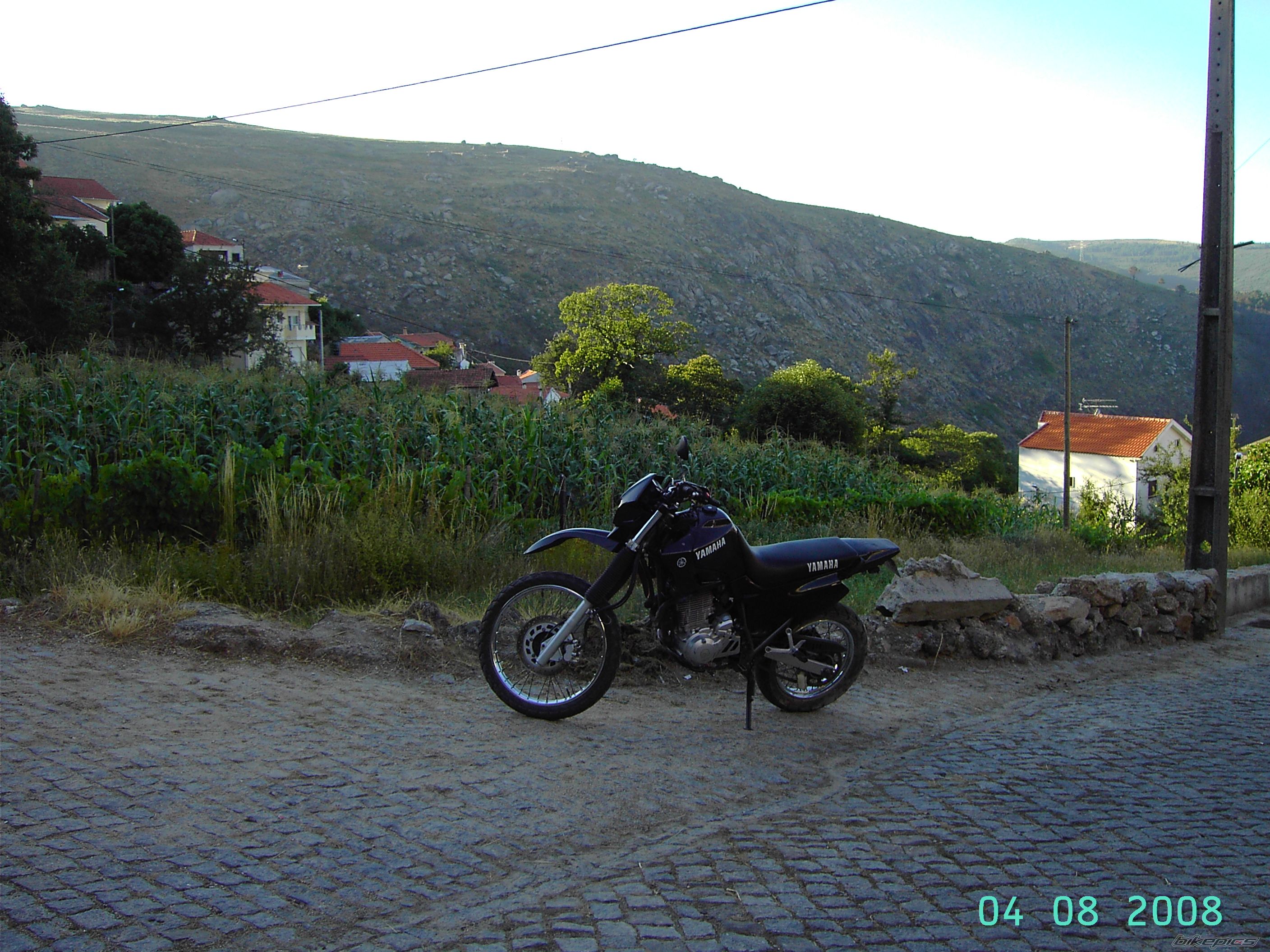Photo 1375321