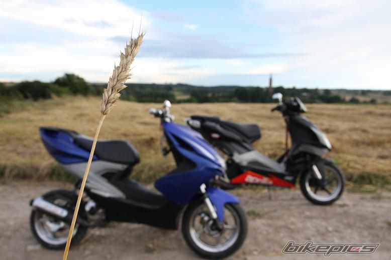 Photo 1375364