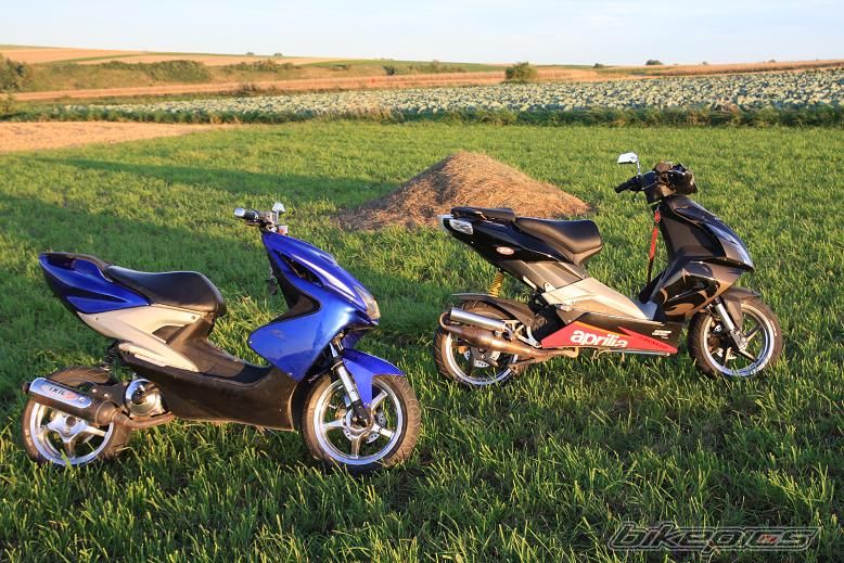 Photo 1375381