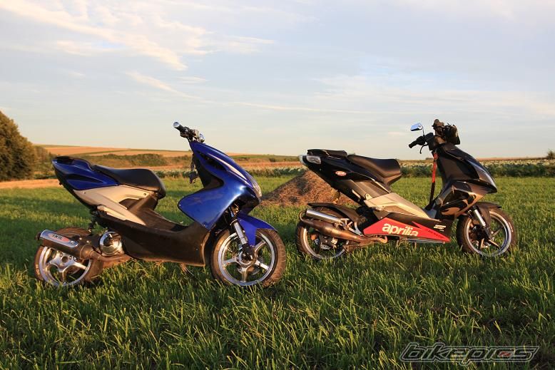 Photo 1375384