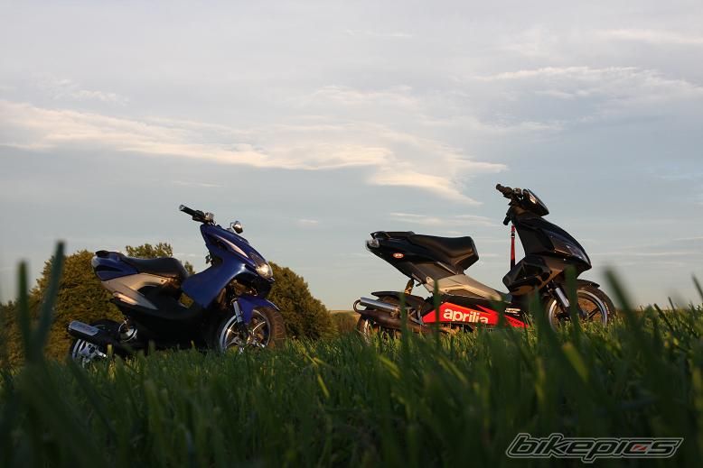 Photo 1375386
