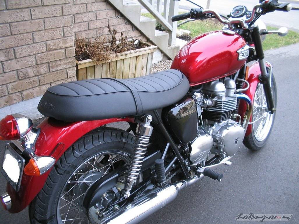 Photo 137541