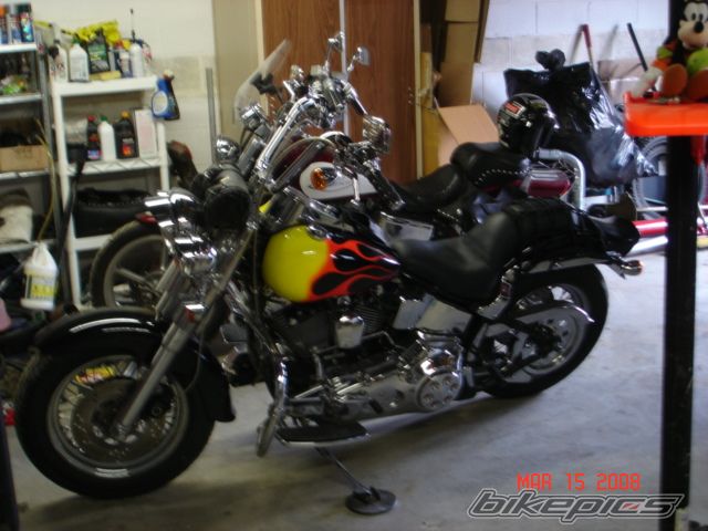 Photo 1375440
