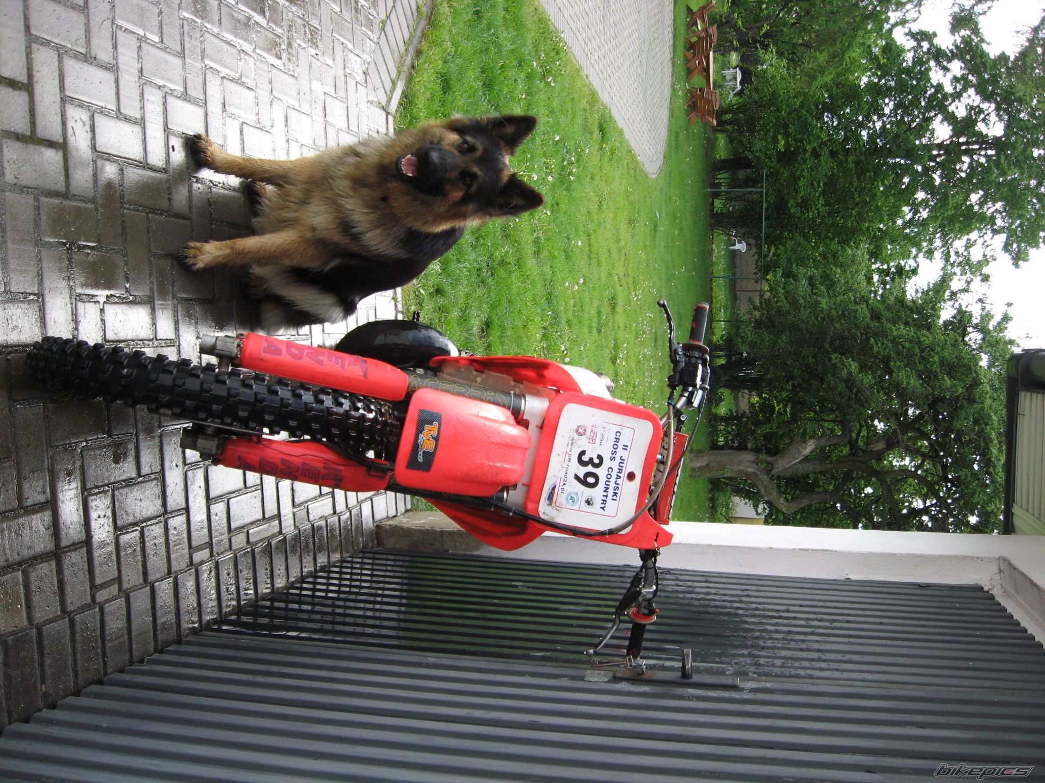 Bike Photo 1375519