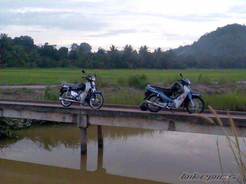 Photo 1375666