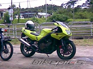 Photo 1375828
