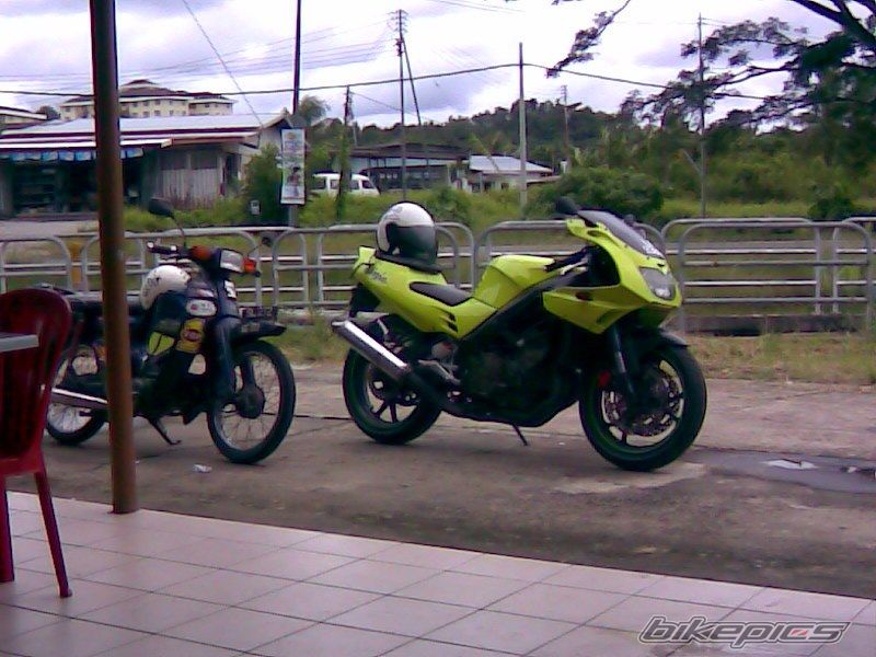 Photo 1375831