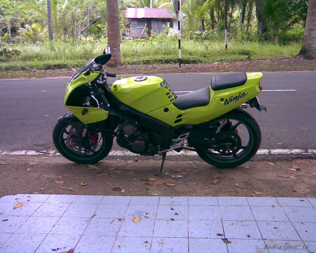 Photo 1375832