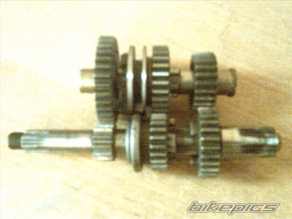 Photo 1376083