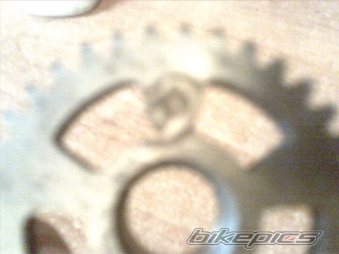 Photo 1376085