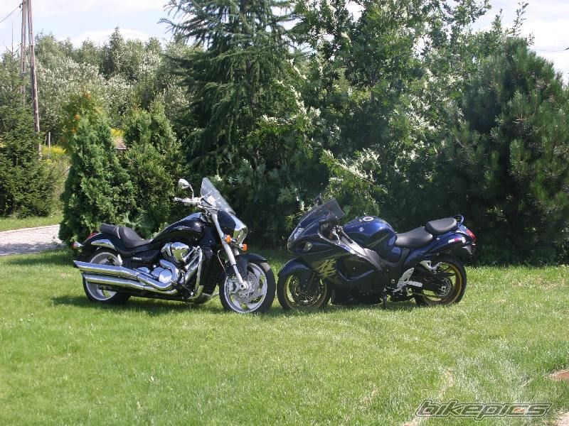 Photo 1376132