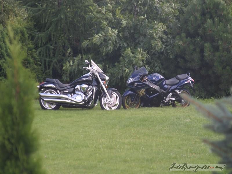 Photo 1376133