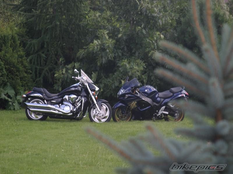 Photo 1376134