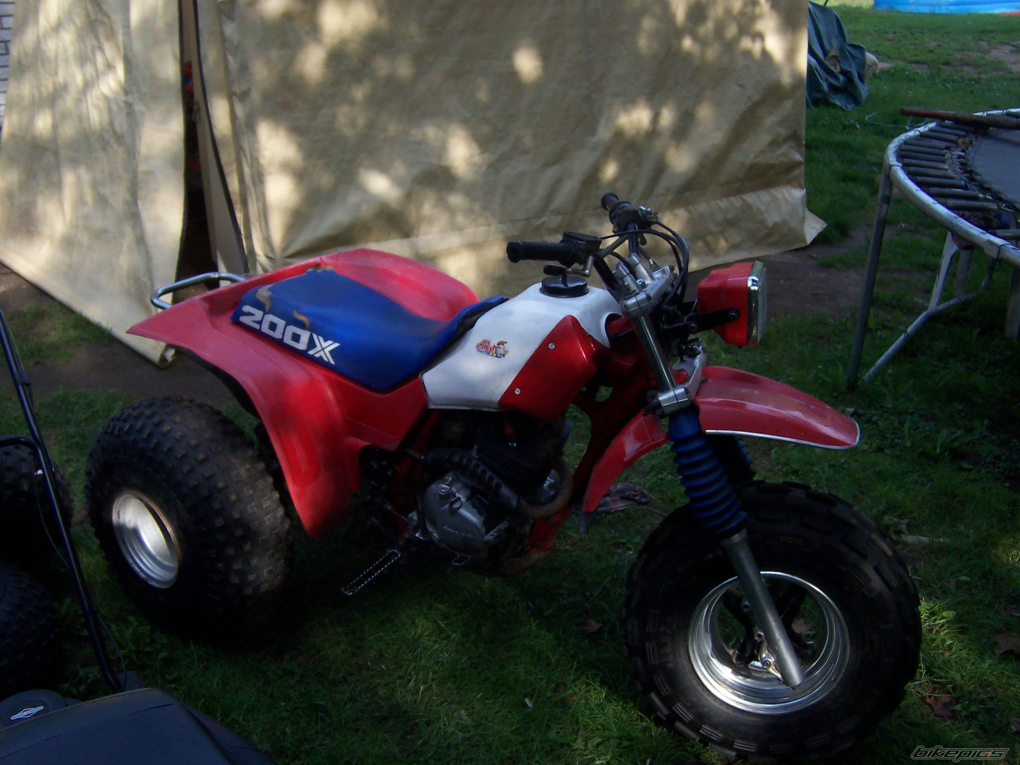 Photo 1376219
